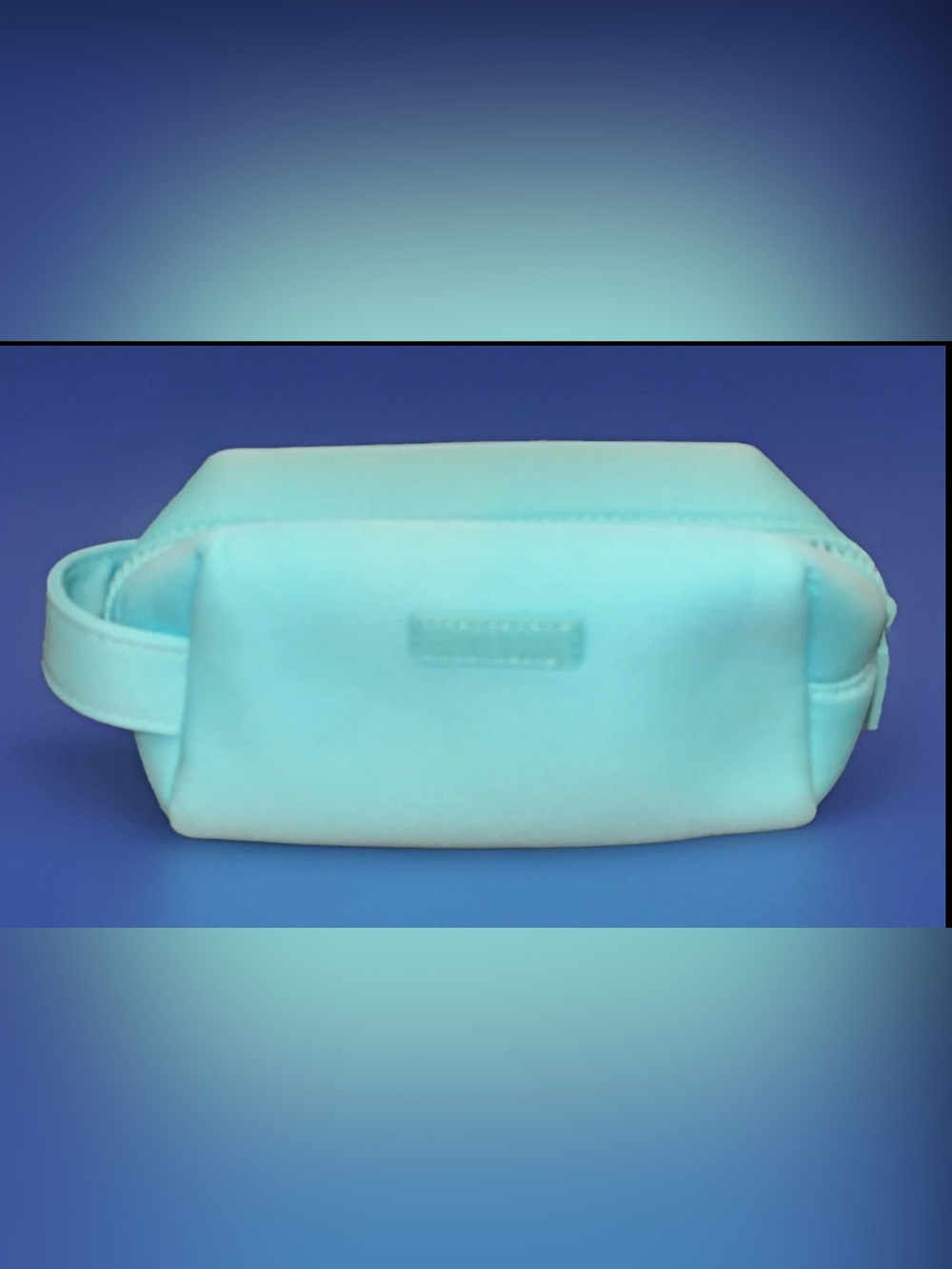 Padded Doterra Turquoise Travel Oil Essentials Pouch with Handle